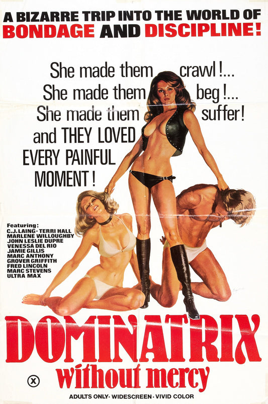 Dominatrix Without Mercy 01 Movie Magnet
