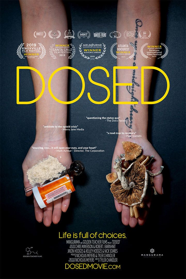 Dosed Movie 2020 Documentary Painting Print Jigsaw Puzzle