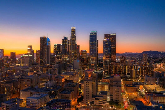 Downtown Los Angeles California La City Skyline Picture Keychain Keychain