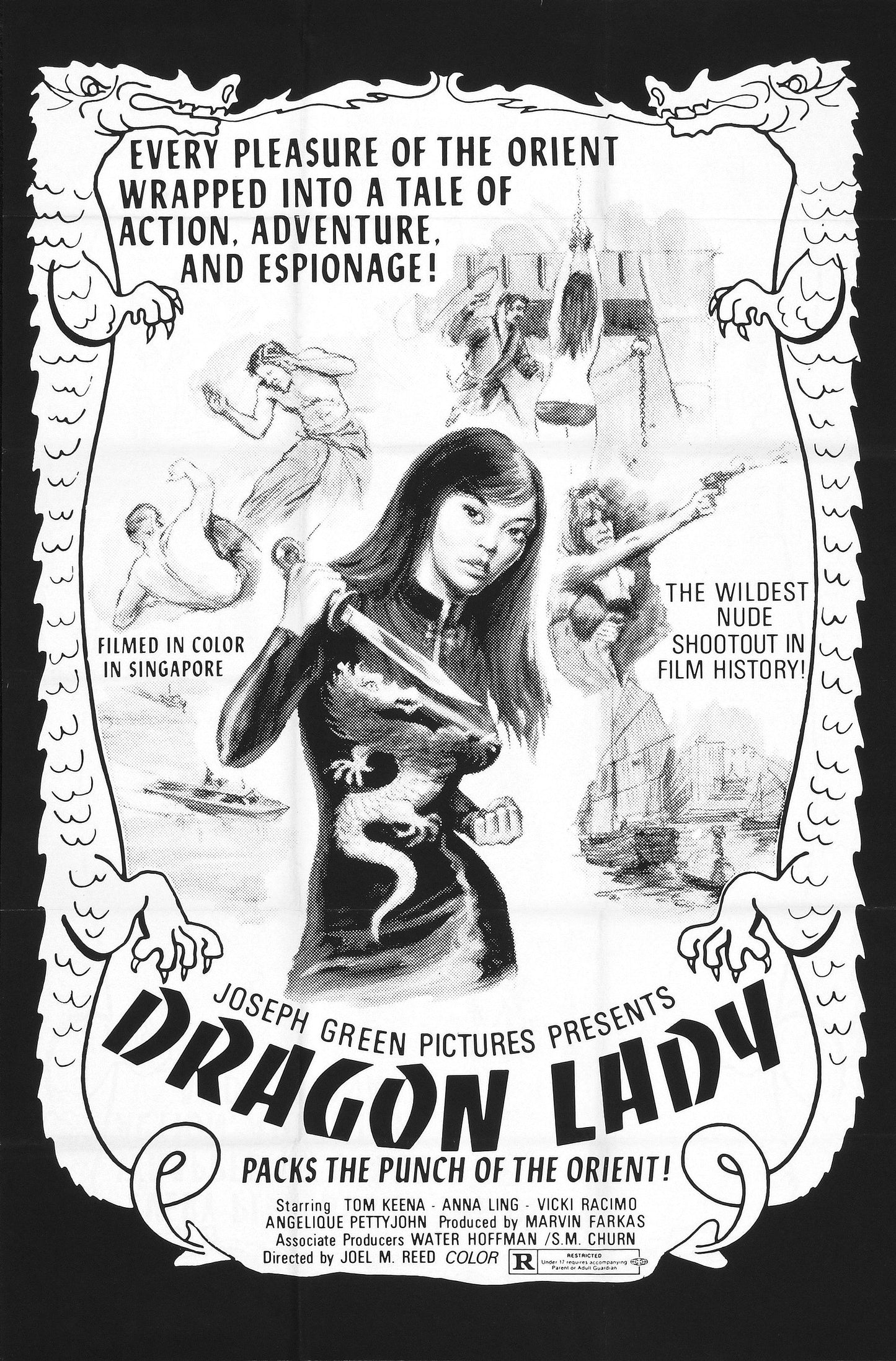 Dragon Lady 01 Movie Magnet