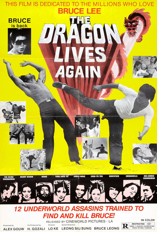 Dragon Lives Again 01 Movie Magnet