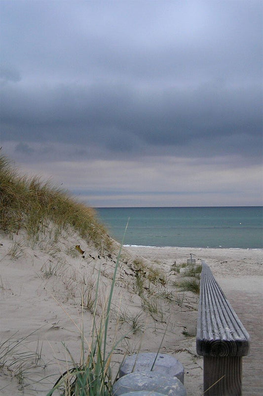 Dunes On Padre Island Landscape Nature Picture Wall Home Decor Jigsaw Puzzle