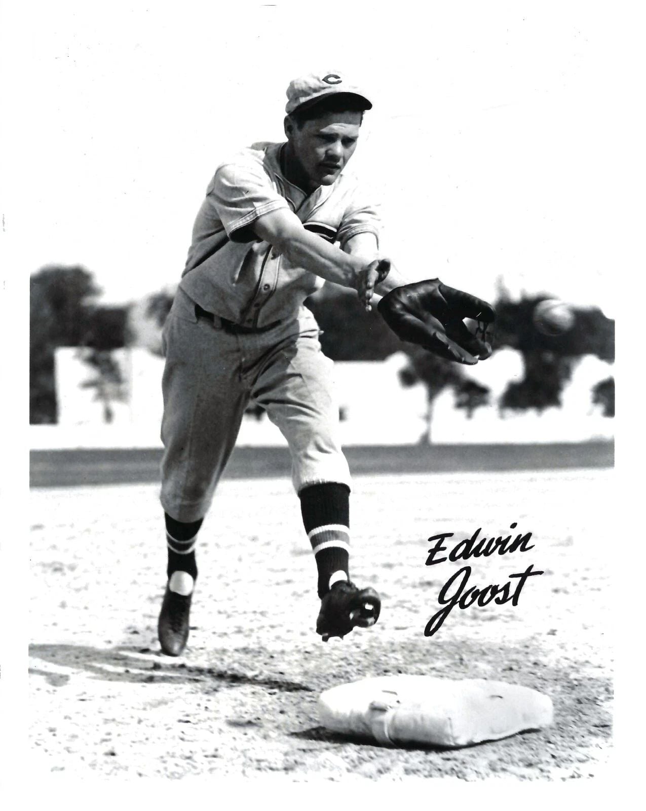 Eddie Joost Magnet Cincinnati Reds Baseball Picture Mlb Edwin