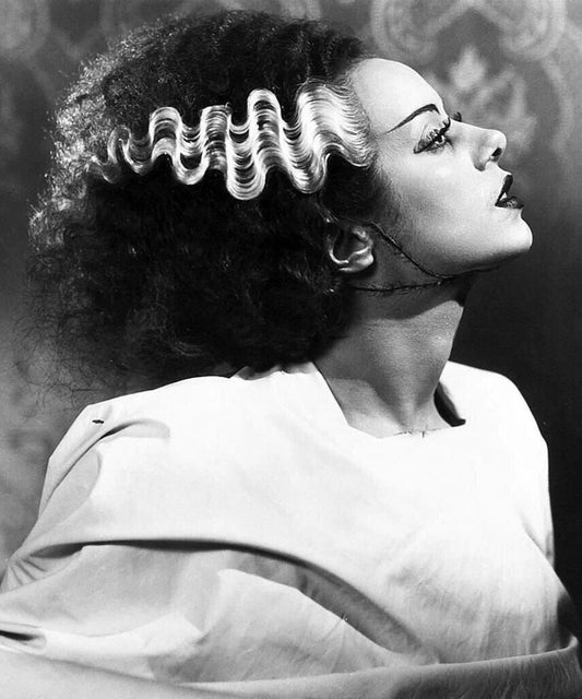 Elsa Lanchester The Bride Of Frankenstein Classic Film Magnet Magnet 11X13X197