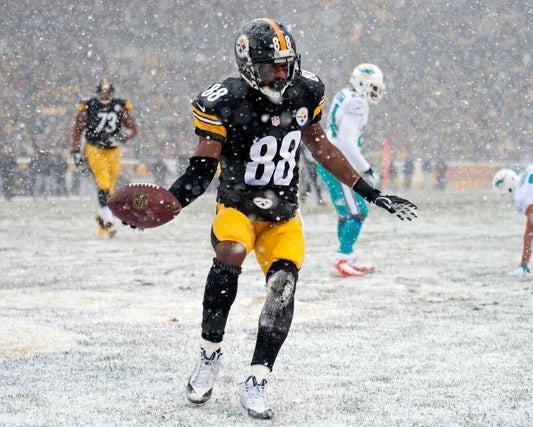 Emmanuel Sanders Photo Pittsburgh Steelers Nfl Football Snow