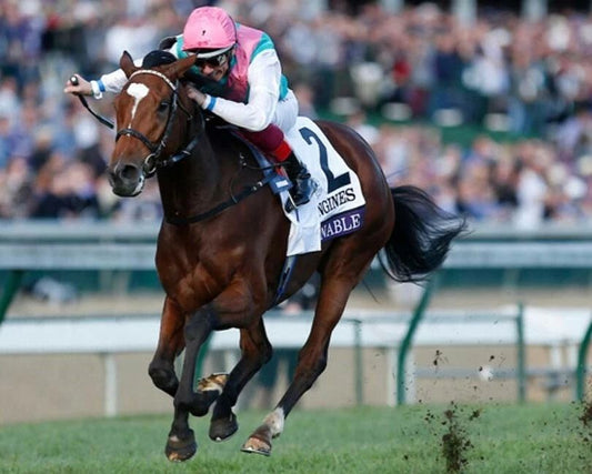 Enable Keychain Horse Racing Picture Jockey Action