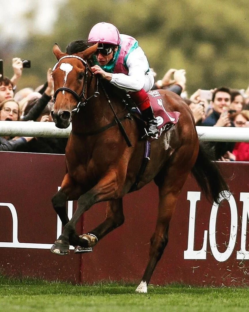 Enable Photo Horse Racing Picture