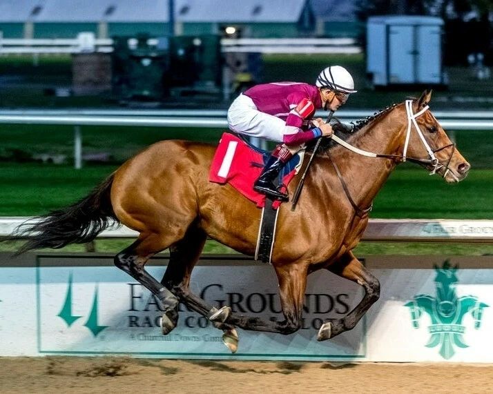 Epicenter Magnet Horse Racing Picture