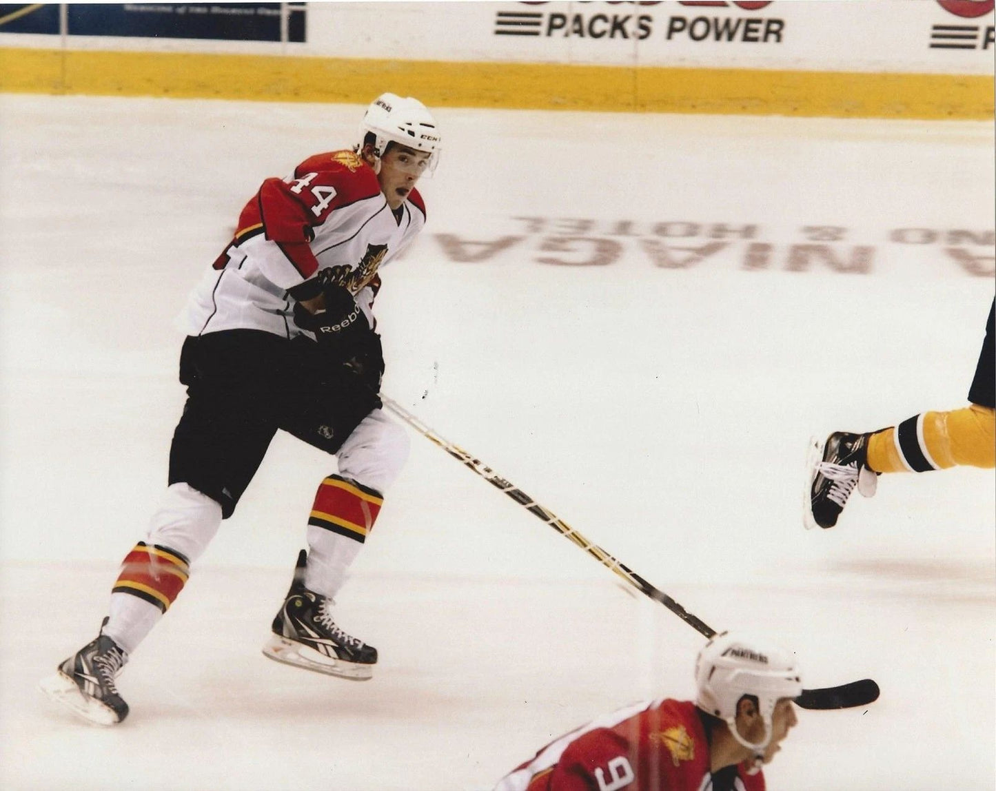 Erik Gudbranson Magnet Florida Panthers Nhl Picture