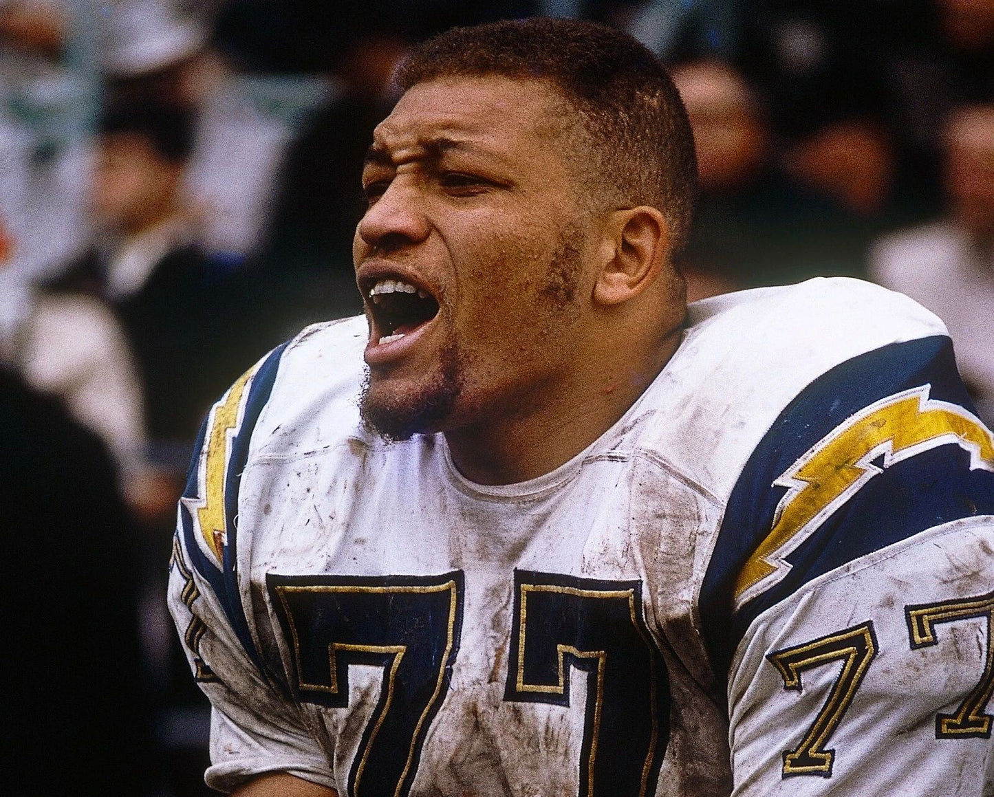 Ernie Ladd Magnet San Diego Chargers Nfl Football Close Up
