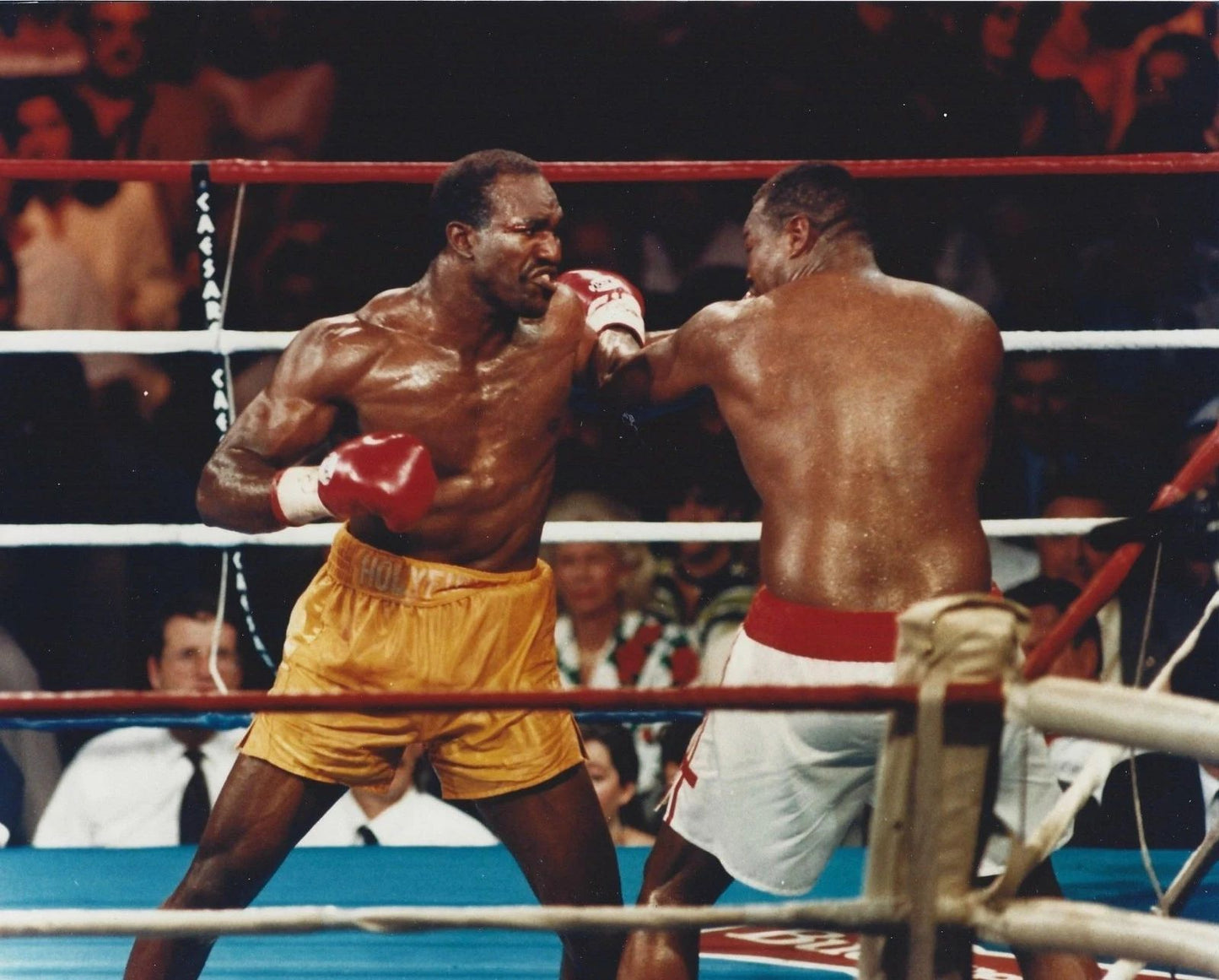 Evander Holyfield Vs Larry Holmes Magnet Boxing Picture