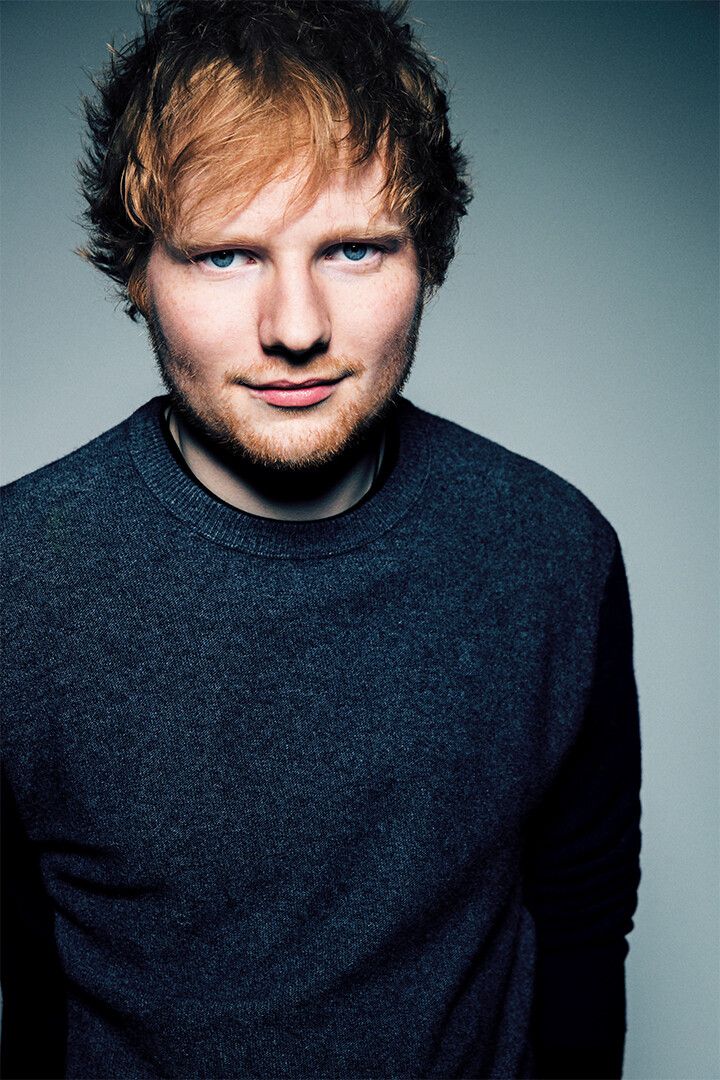 Ed Sheeran Celebrity Singer Musician Artist Jigsaw Puzzle