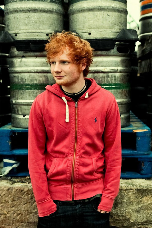 Ed Sheeran Music Artist Pop Singer Art Print Decor Jigsaw Puzzle