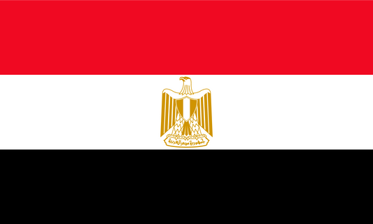 Egypt Flag Print Poster