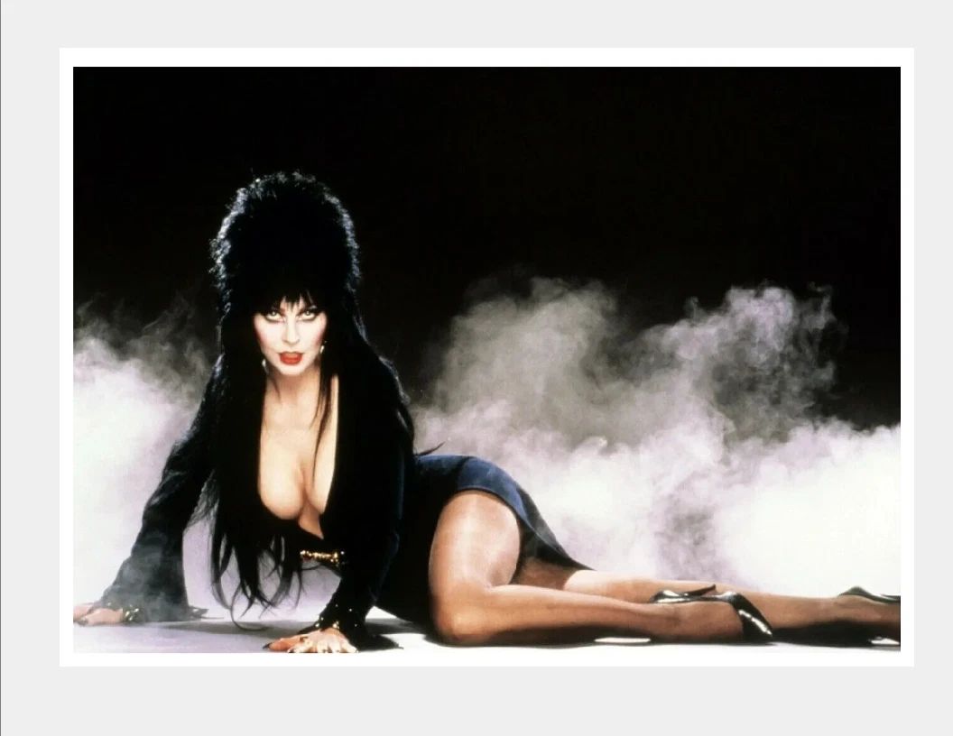 Elvira Mistress Of The Dark Sexy Halloween Scream Queen Magnet Magnet