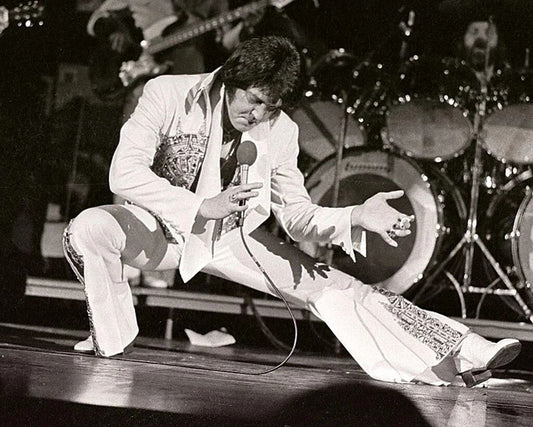 Elvis Presley King Of Rock Rare Concert Picture Magnet Magnet Print 8 X 10
