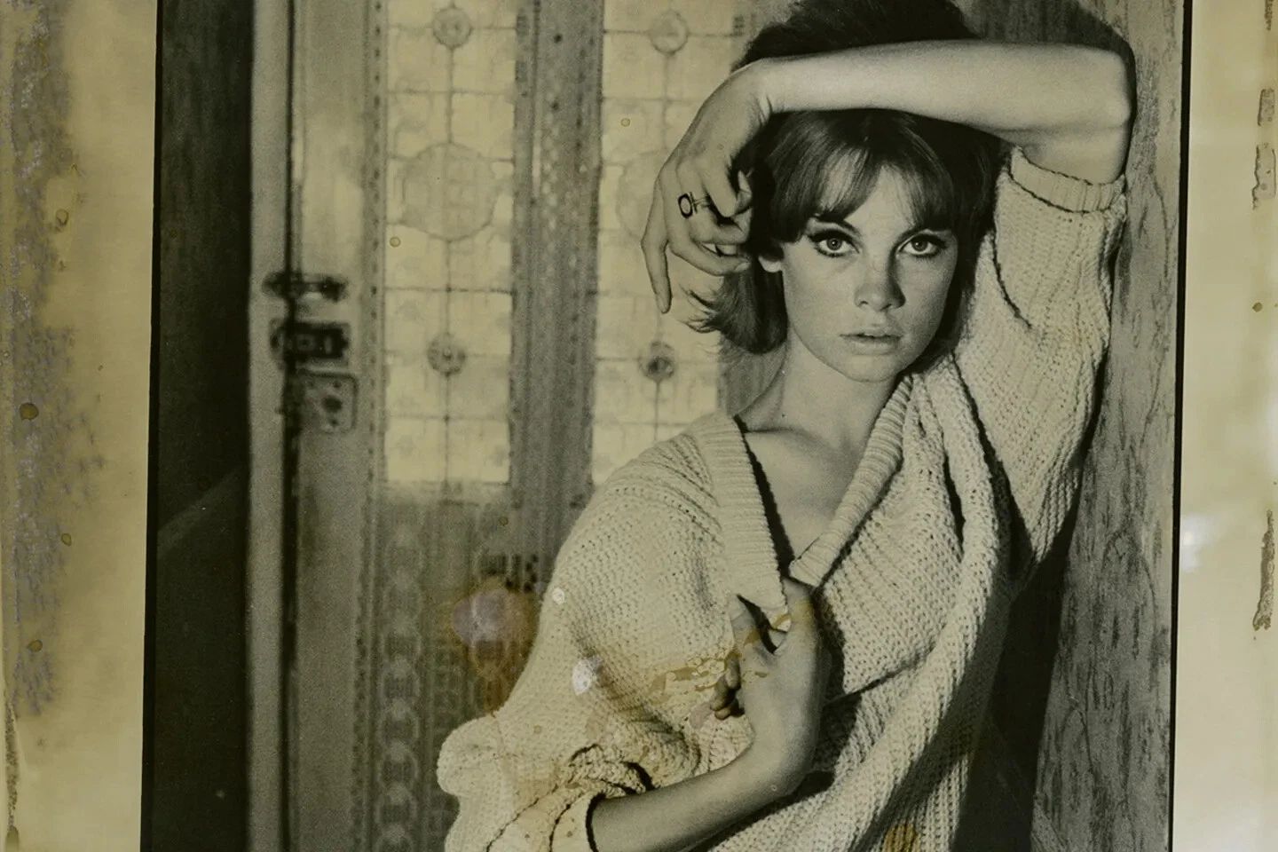 English Model Actress Jean Shrimpton Publicity Picture Magnet Print 5 X 7