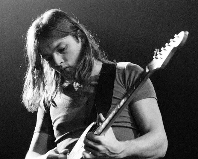 English Rock Guitarist David Gilmour Glossy Magnet Print Pink Floyd Magnet 1