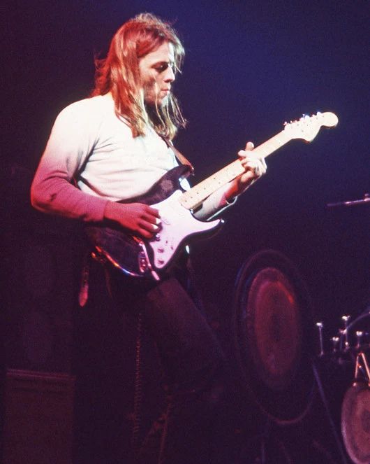 English Rock Guitarist David Gilmour Glossy Photo Print Pink Floyd Poster 2