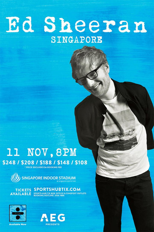 English Singer Ed Sheeran Concert Art Print Decor Jigsaw Puzzle