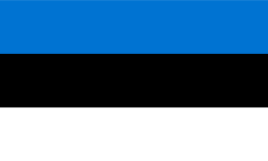 Estonia Flag Print Poster