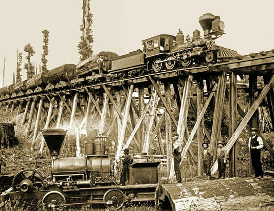 Eureka & Klamath River Railroad Train Arcata Ca Old Photo Reprint