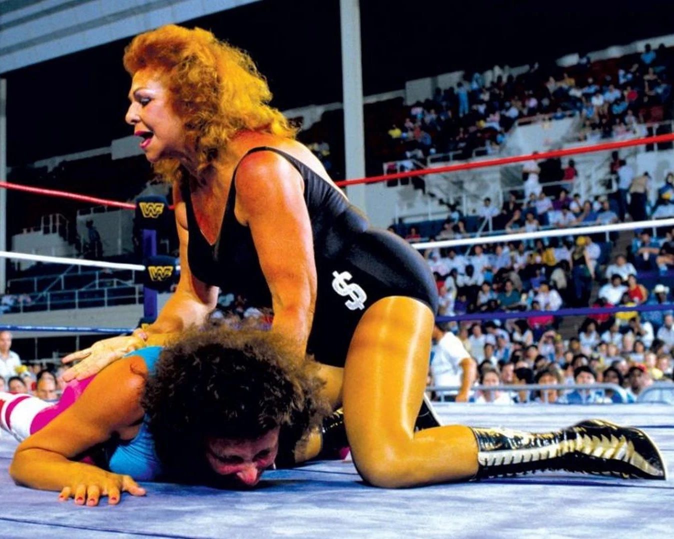 Fabulous Moolah Magnet Wrestling Picture Wwf Action