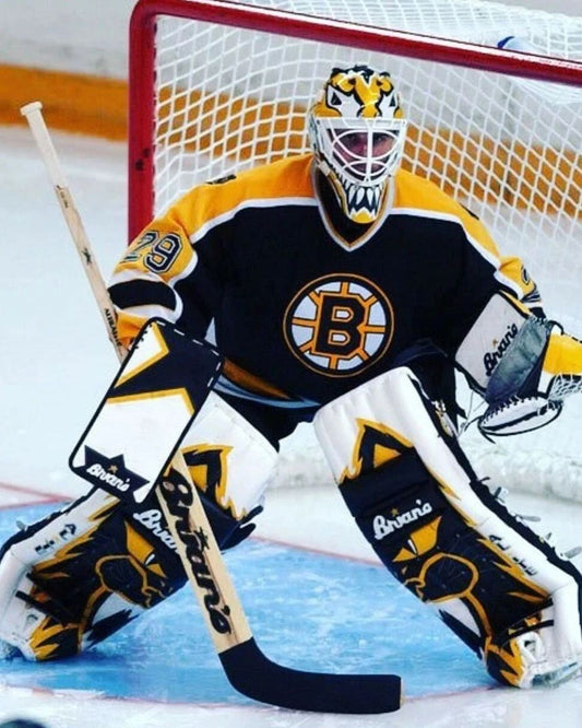 Felix Potvin Photo Hockey Boston Bruins Picture Nhl