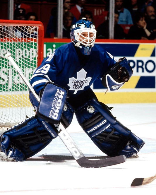 Felix Potvin Photo Toronto Maple Leafs Picture Nhl Action