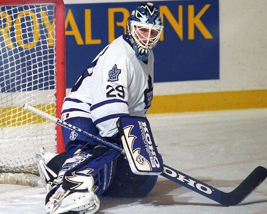 Felix Potvin Magnet Toronto Maple Leafs Picture Nhl Game Action