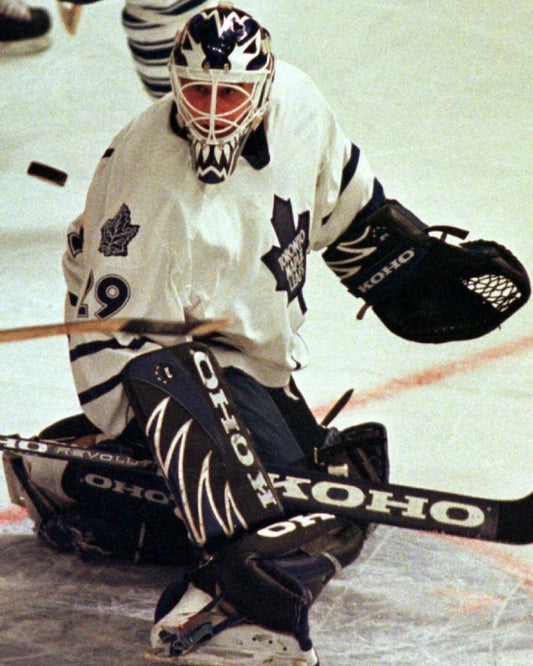 Felix Potvin Magnet Toronto Maple Leafs Picture Nhl