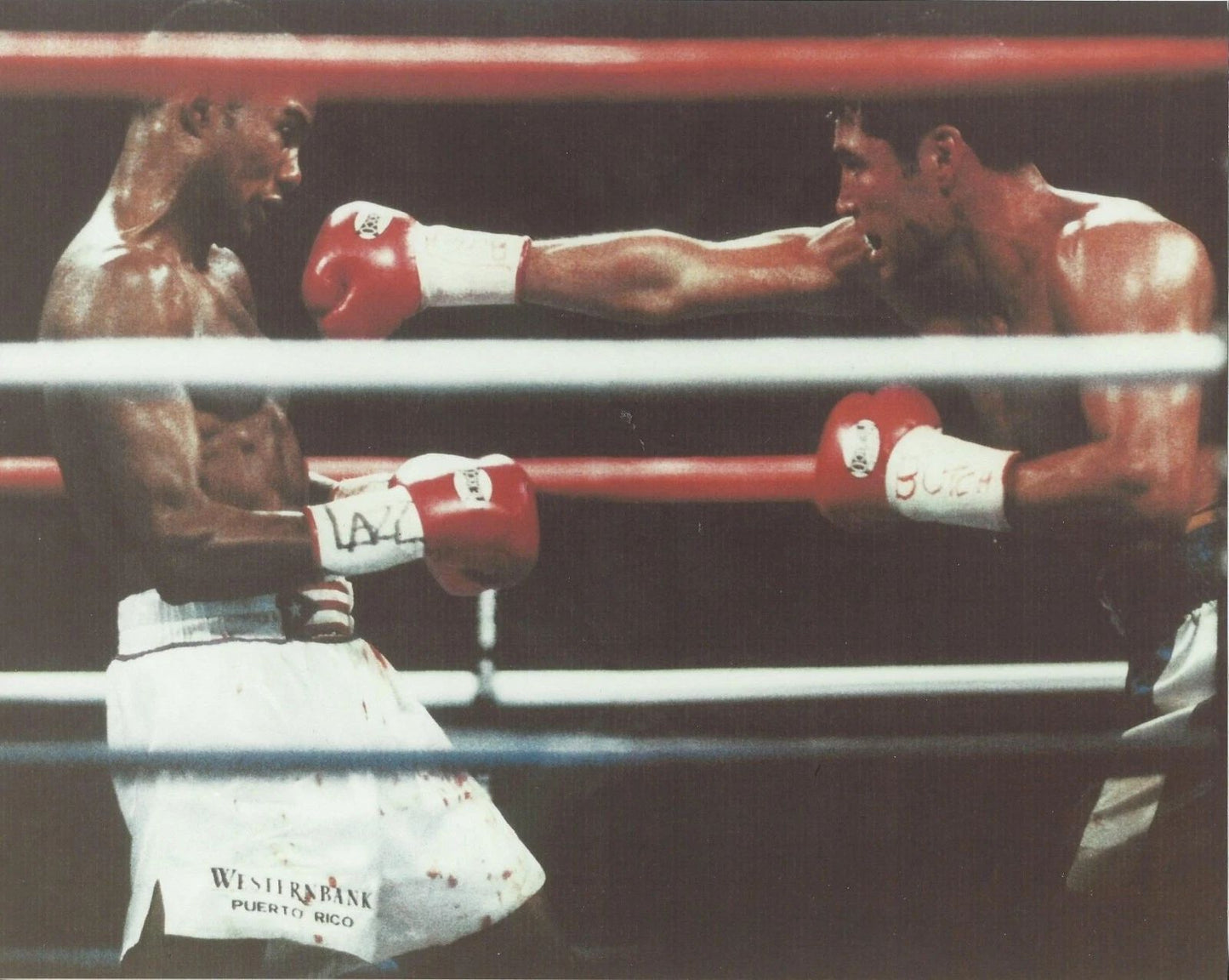 Felix Trinidad Vs Oscar De La Hoya Magnet Boxing Picture