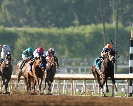 Fierceness Magnet Horse Racing Picture
