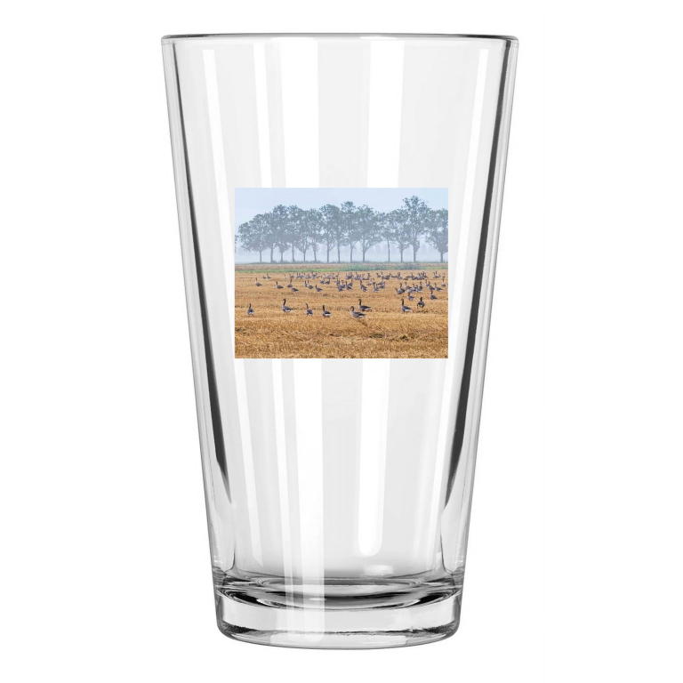 Flock Of Geese Along A Field Scenic Morning Bird Family Pint Beer Drinking Glass