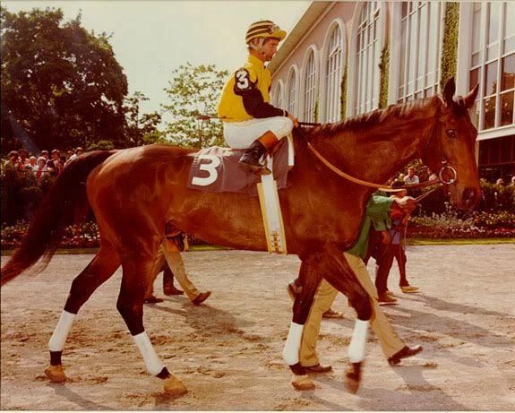 Forego Magnet Horse Racing Picture