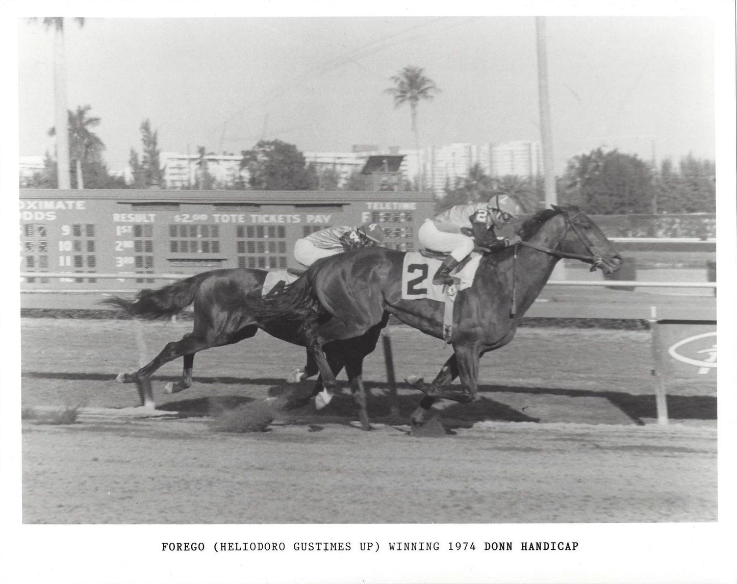 Forego Magnet Horse Racing Picture Jockey Heliodoro Gustimes