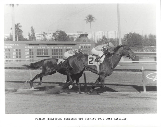 Forego Magnet Horse Racing Picture Jockey Heliodoro Gustimes
