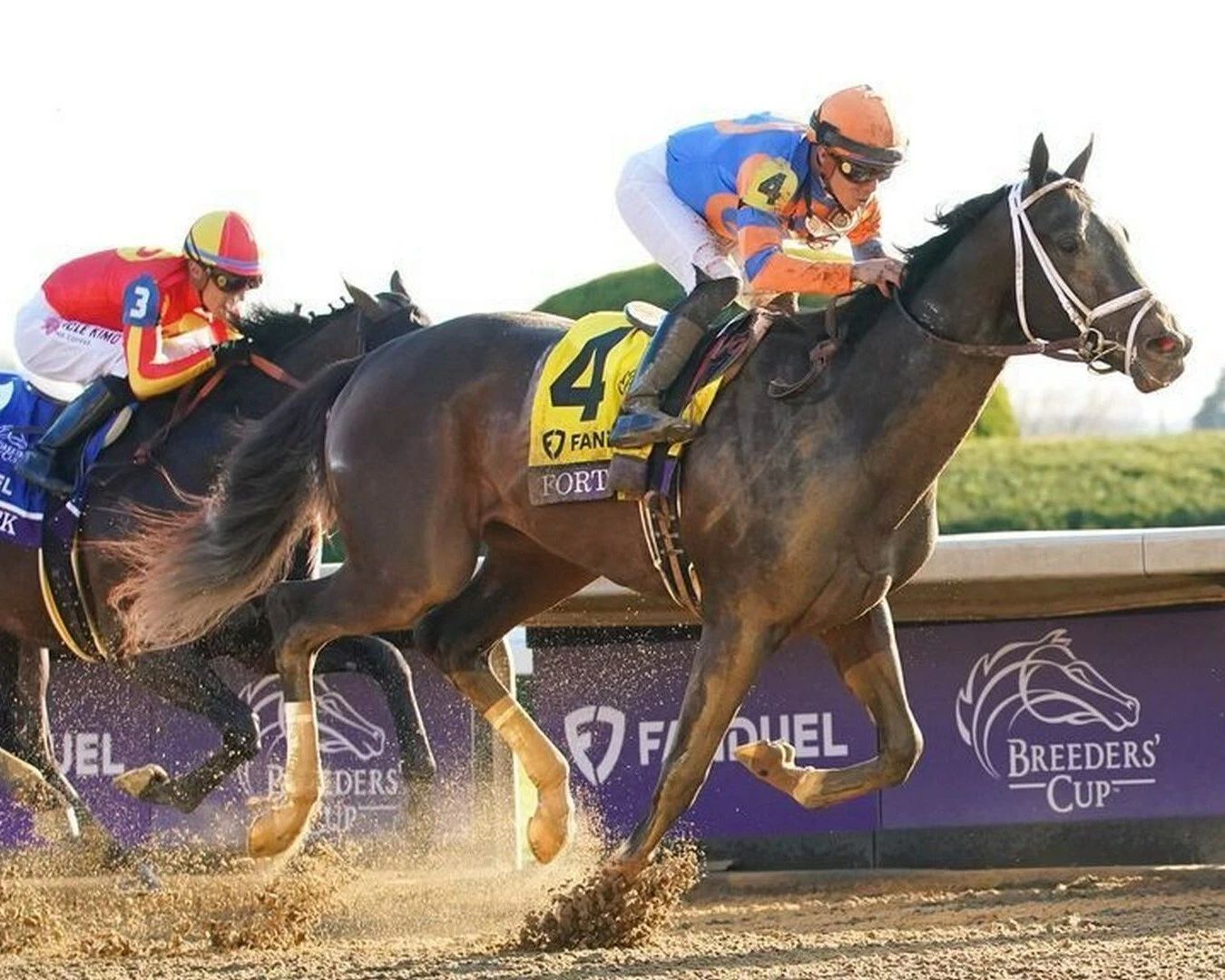 Forte Photo Horse Racing Picture Action