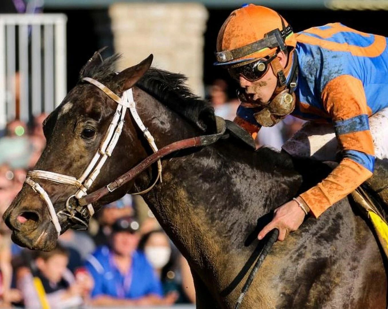 Forte Photo Horse Racing Picture Close Up 300 Piece Jigsaw Puzzle