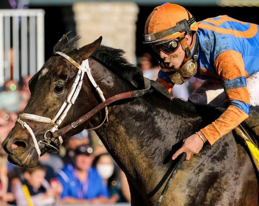 Forte Keychain Horse Racing Picture Close Up