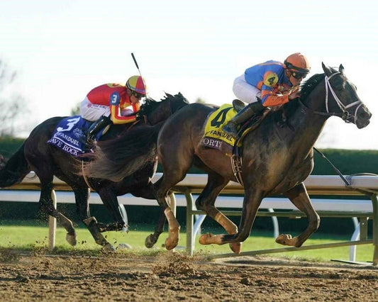 Forte Magnet Horse Racing Picture Irad Ortiz Jr