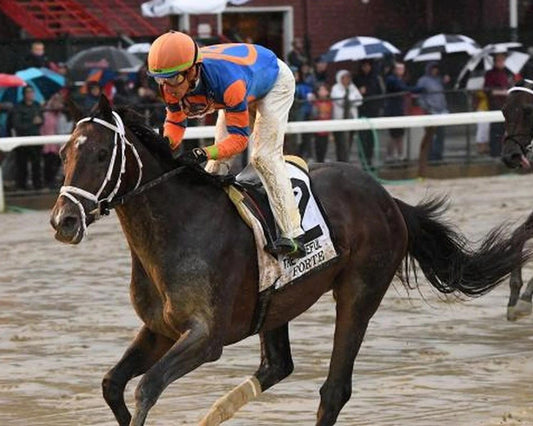 Forte Keychain Horse Racing Picture