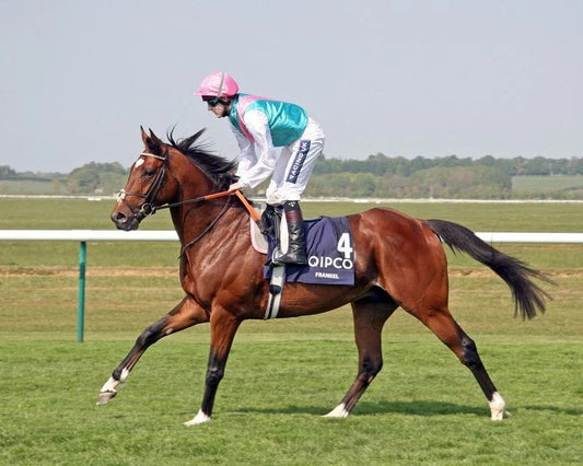 Frankel Photo Horse Racing Picture Jockey