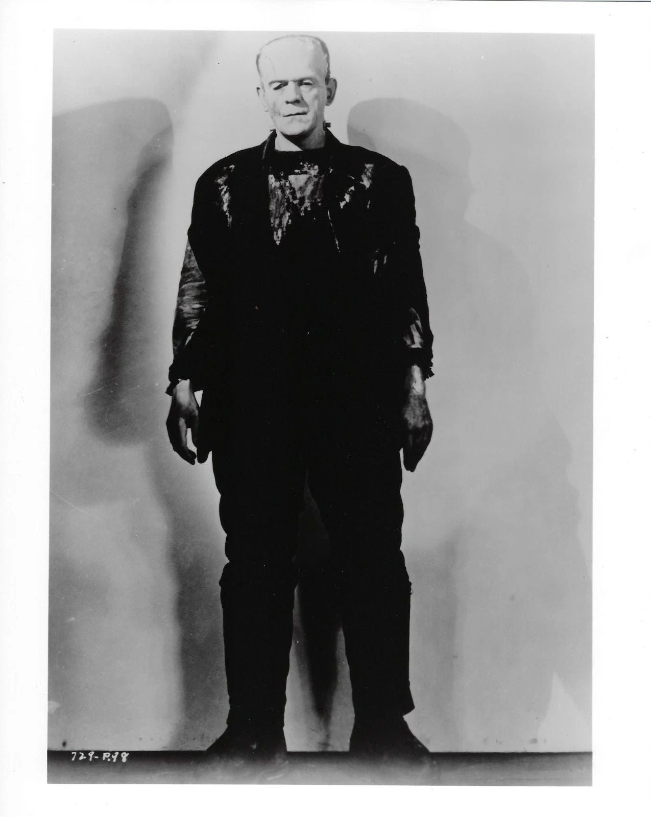 Frankenstein Photo Picture Boris Karloff Movies White Border
