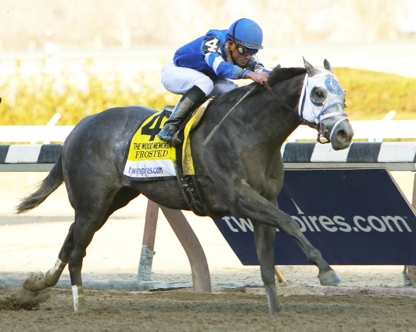 Frosted Photo Horse Racing Picture Action