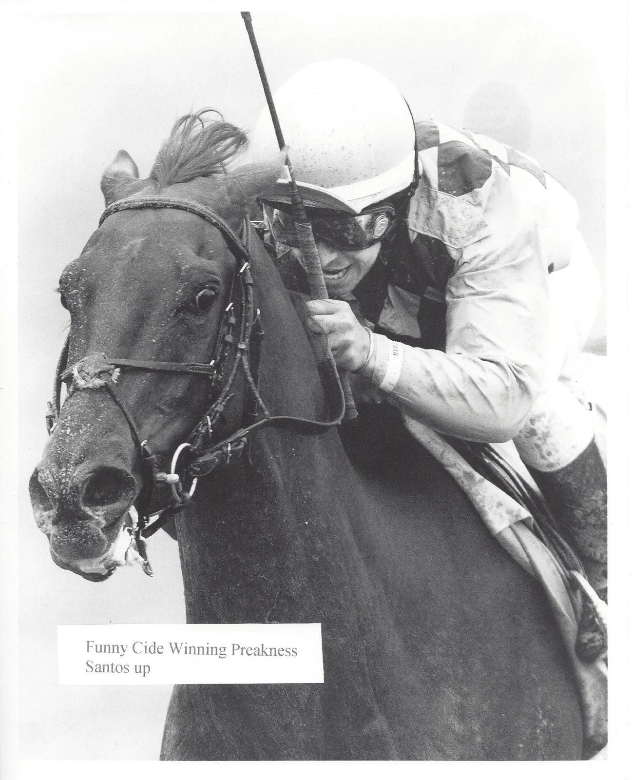 Funny Cide Photo Horse Racing Picture Jockey Jose Santos Preakness Stakes