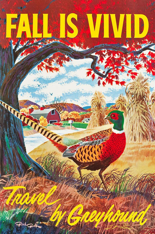 Fall Is Vivid Pheasant 1960S Vintage Travel Jigsaw Puzzle