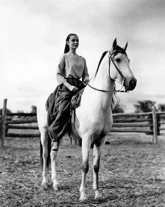 Famous Actress Audrey Hepburn On A Horse Glossy Photo Print Poster