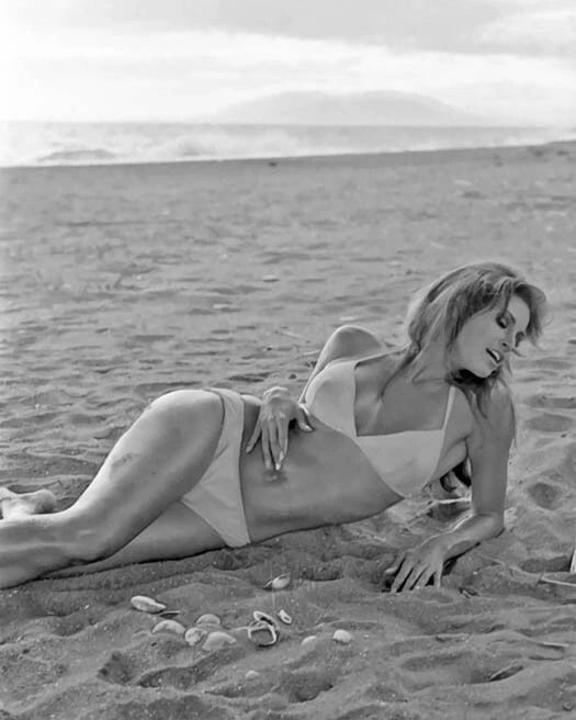 Famous Actress Raquel Welch Glossy Magnet Bikini Model Print