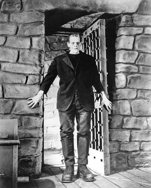 Famous Horror Film Frankenstein Glossy Photo Boris Karloff Poster Print